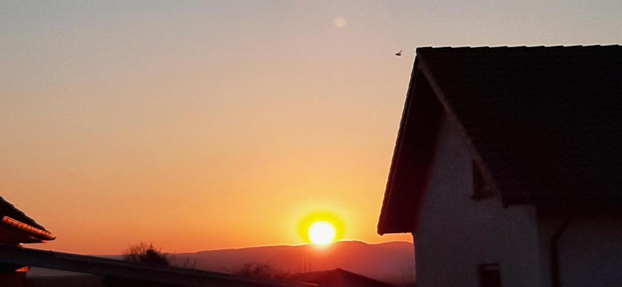 Ferienwohnung Gutowski Andernach Esterno foto