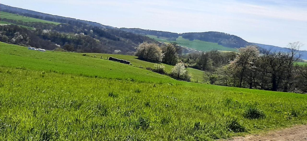 Ferienwohnung Gutowski Andernach Esterno foto